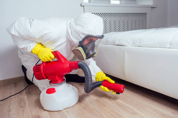 Best Ant Control Services  in Benton Harbor, MI
