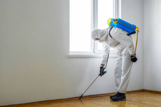 Best Ant Control Services  in Benton Harbor, MI