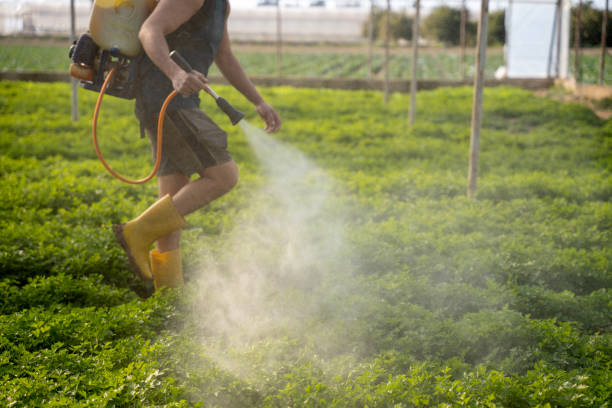Best Affordable Pest Control Services  in Benton Harbor, MI