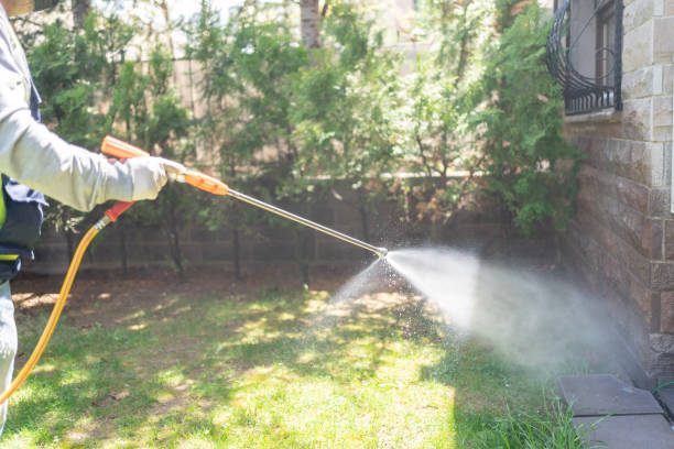 Best Spider Control Near Me  in Benton Harbor, MI