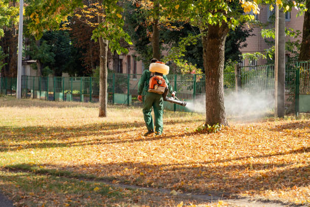 Best Rodent Control Near Me  in Benton Harbor, MI