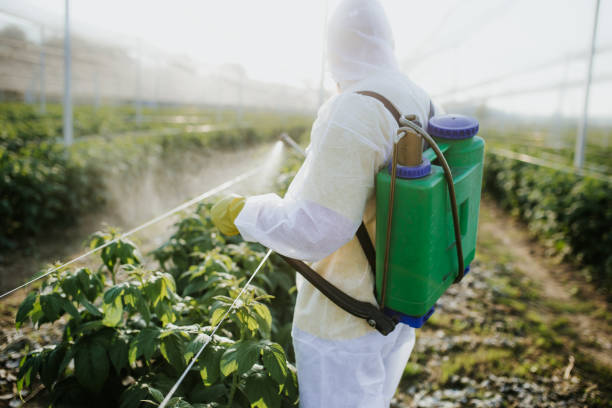 Best Flea Control Services  in Benton Harbor, MI